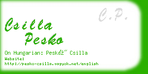 csilla pesko business card